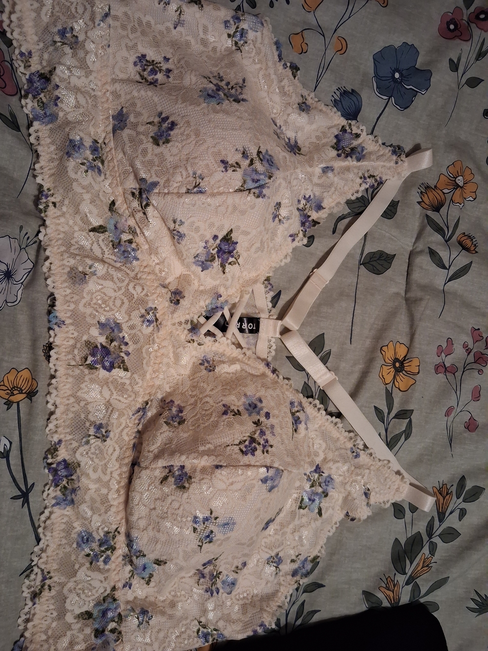 Torrid Floral Lace Bralette - Cream with Blue Floral
